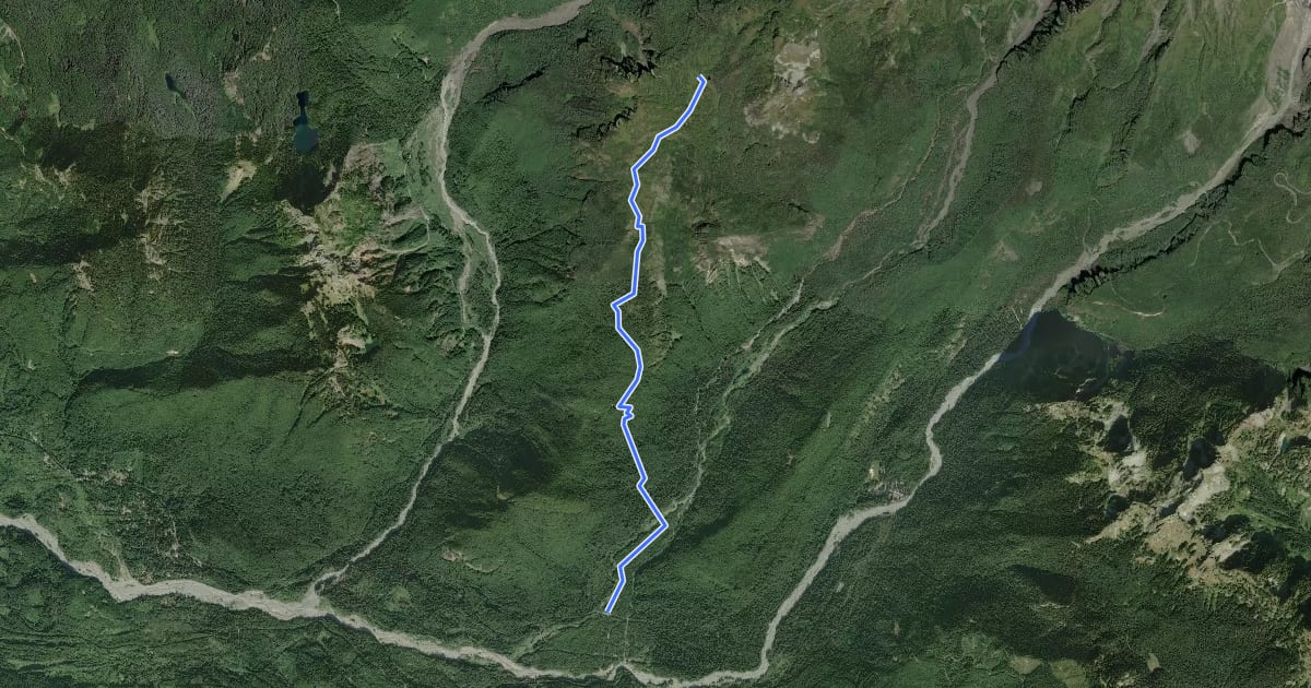 Маршрут Indian Henry's Hunting Ground via Kautz Creek на спутниковом снимке