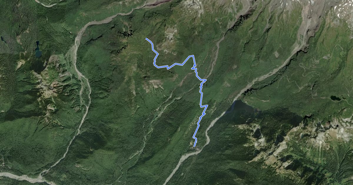 Маршрут Indian Henry's Hunting Ground via Longmire Trail на спутниковом снимке