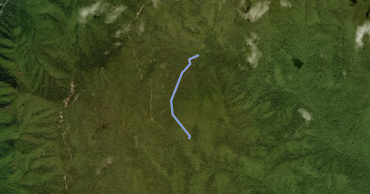 Маршрут Indian Run Trail на спутниковом снимке
