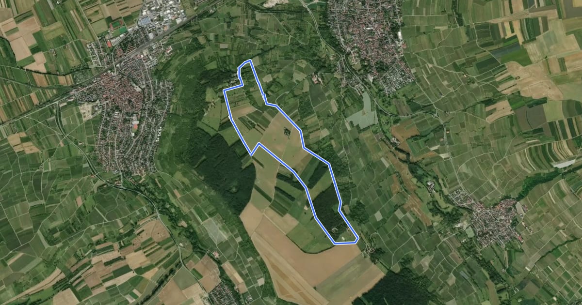 Маршрут Ingelheim: Rundweg Westerberg на спутниковом снимке