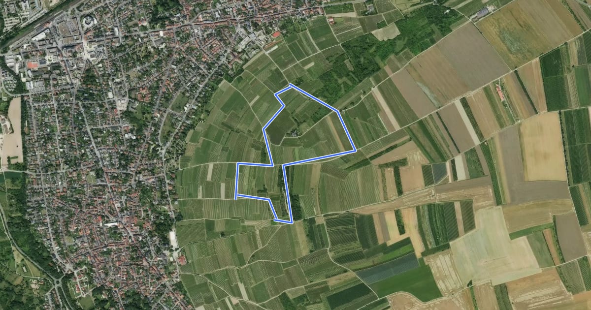Маршрут Ingelheim: Weinmeile на спутниковом снимке