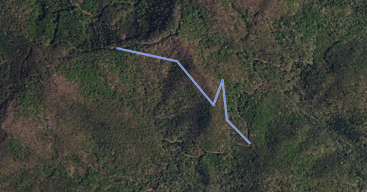 Маршрут Ingles Field Connector на спутниковом снимке