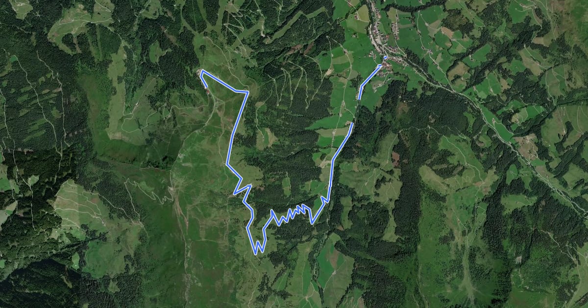 Маршрут Inneralpbach - Hornboden на спутниковом снимке