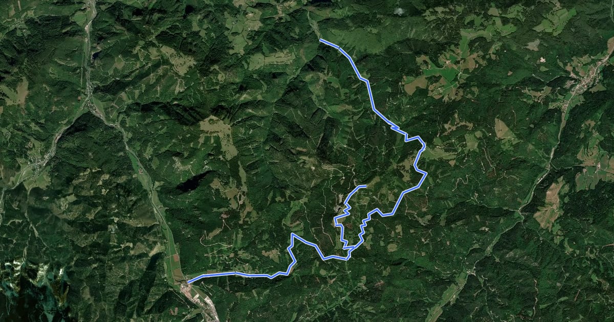 Маршрут Innerfahrafeld - Kleinzeller Hinteralm -Wiesenfeld - Schwarzenbach (Bahnhof) на спутниковом снимке