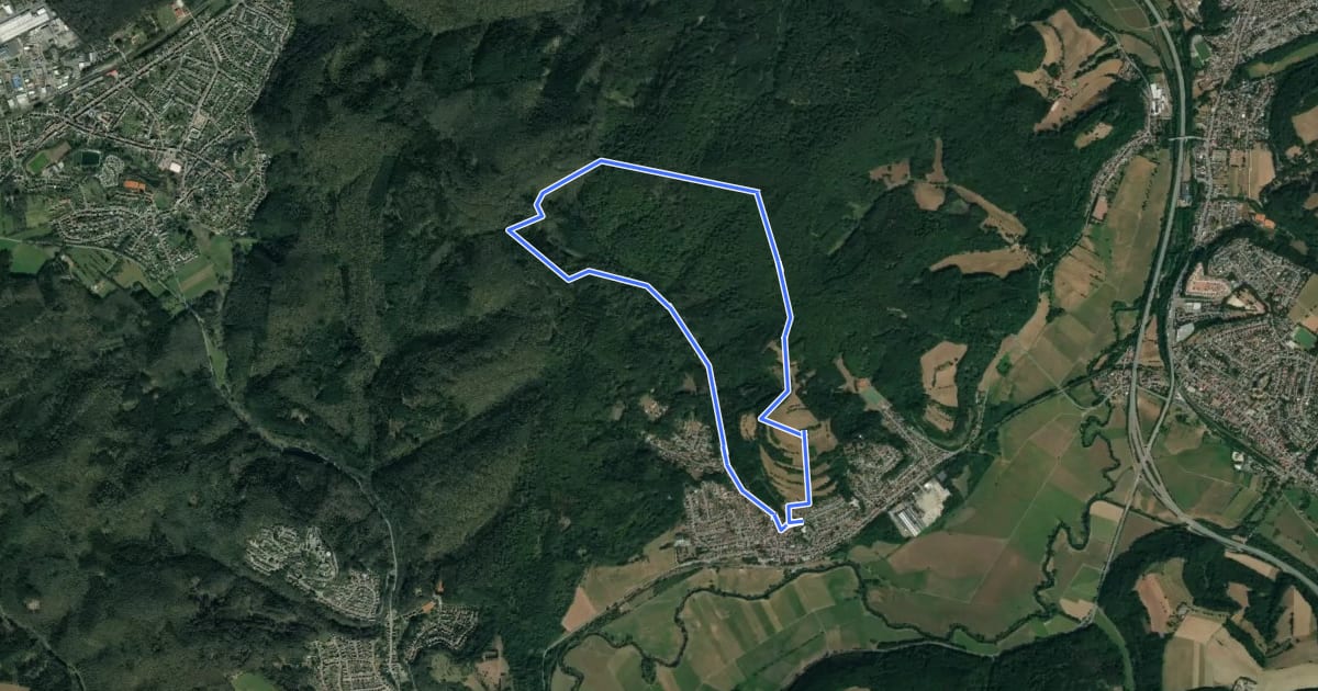 Маршрут Ins Grohbachtal на спутниковом снимке