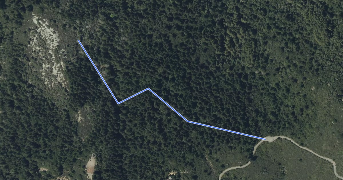 Маршрут International Trail на спутниковом снимке