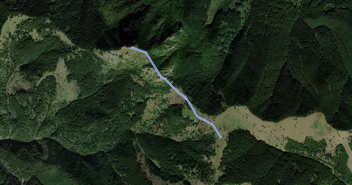 Маршрут intersecție traseul BA - Șaua Vithovoș - Vf. Vithovoș на спутниковом снимке