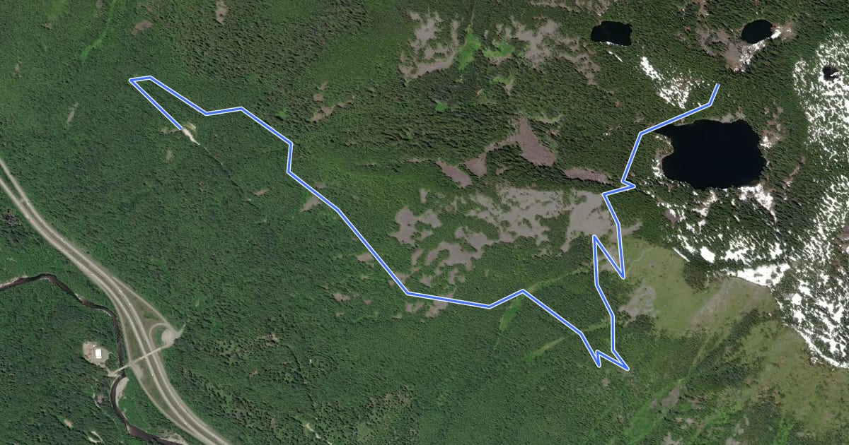 Маршрут Ira Spring (Mason Lake) Trail на спутниковом снимке