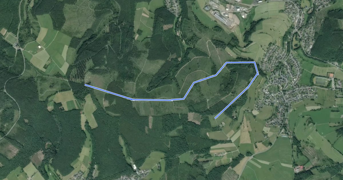 Маршрут Irmgarteichen Rundweg A3 на спутниковом снимке