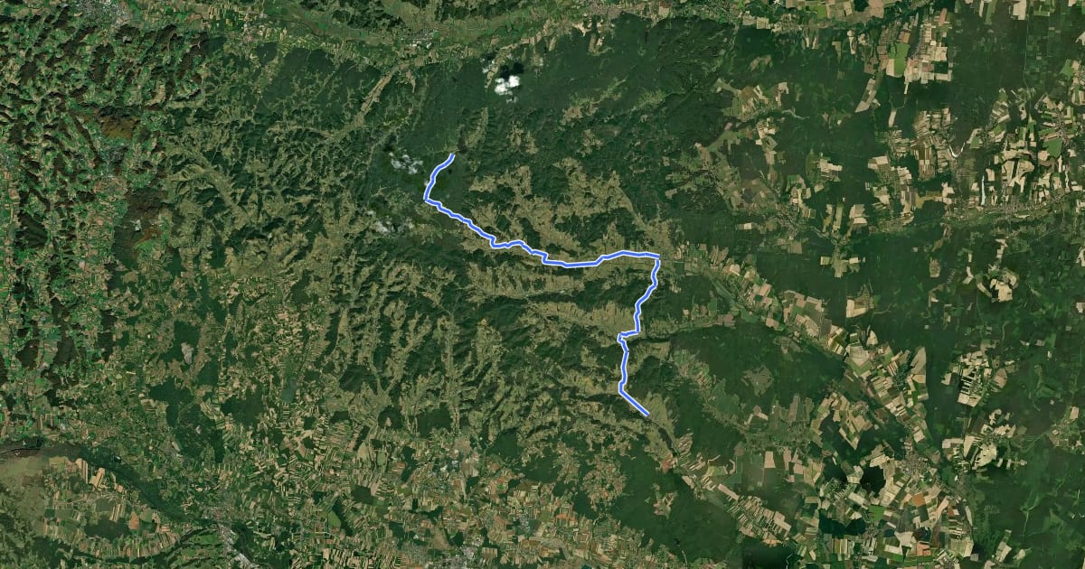 Маршрут Iron Curtain Trail [SL|HU]_1 (Felsőszölnök - Prosenjakovci) на спутниковом снимке