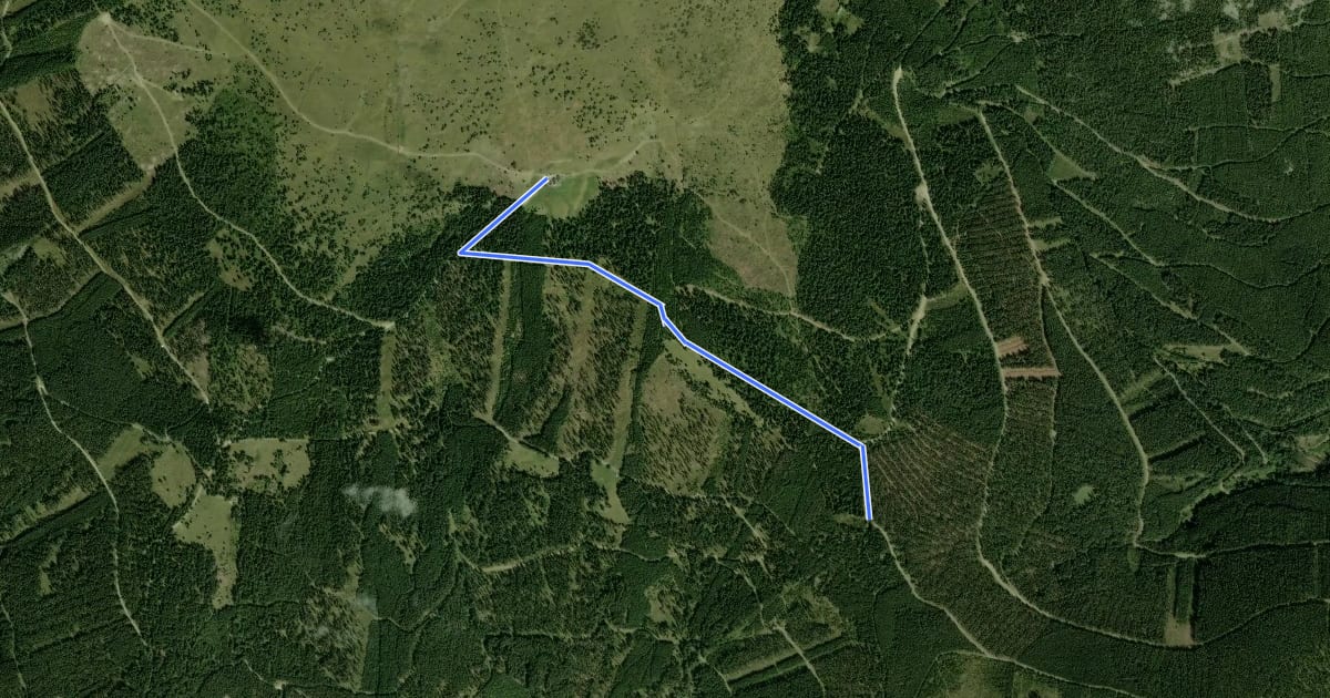 Маршрут Irrbühel Route на спутниковом снимке