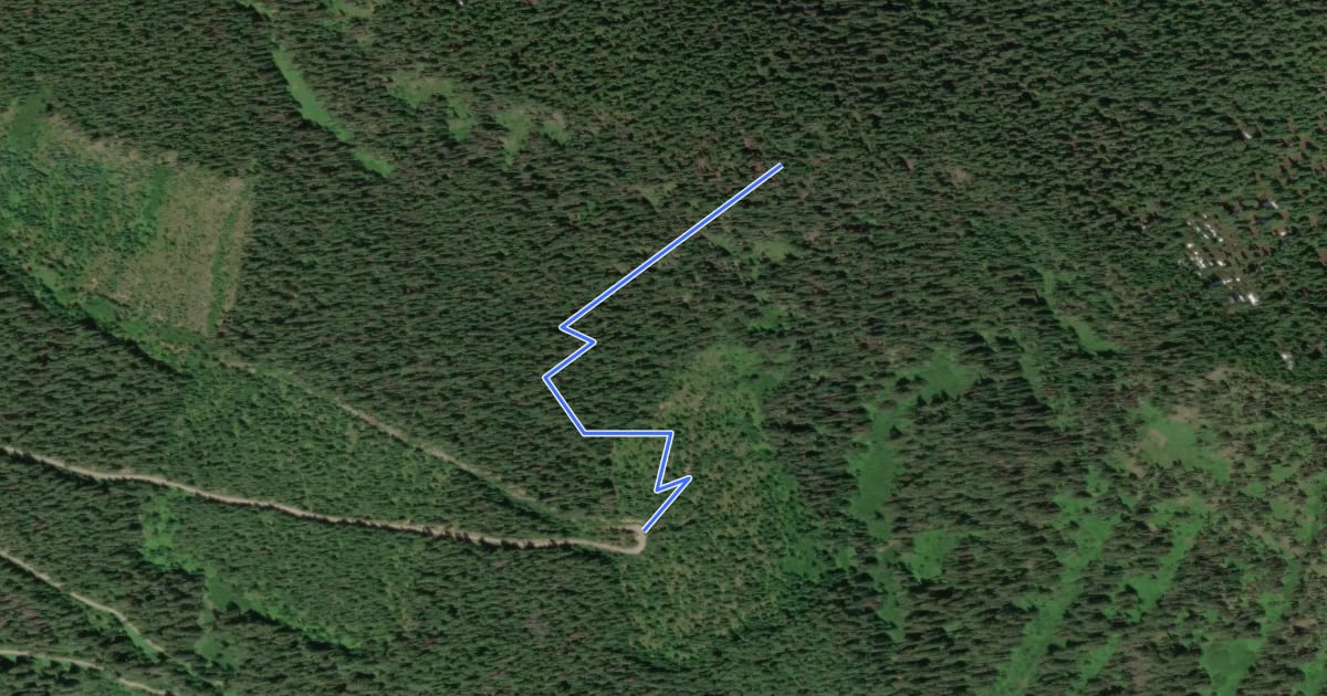 Маршрут Irving Pass Trail на спутниковом снимке