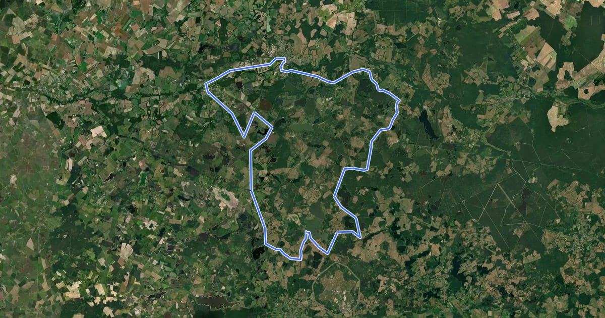 Маршрут Itinéraire vélo n°5 - Grande boucle des étangs de la Brenne на спутниковом снимке