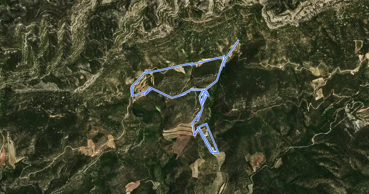 Маршрут Itinerari al voltant de la Cartoixa на спутниковом снимке