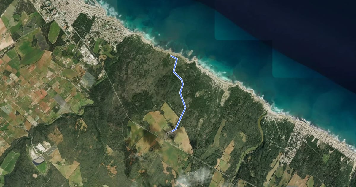 Маршрут Itinerari de la Necròpoloi de la punta des Fenicis на спутниковом снимке