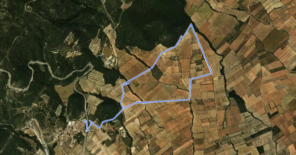 Маршрут Itinerari de Salut: Fontscaldes - Torre de la Mixarda/Pont del Diable на спутниковом снимке