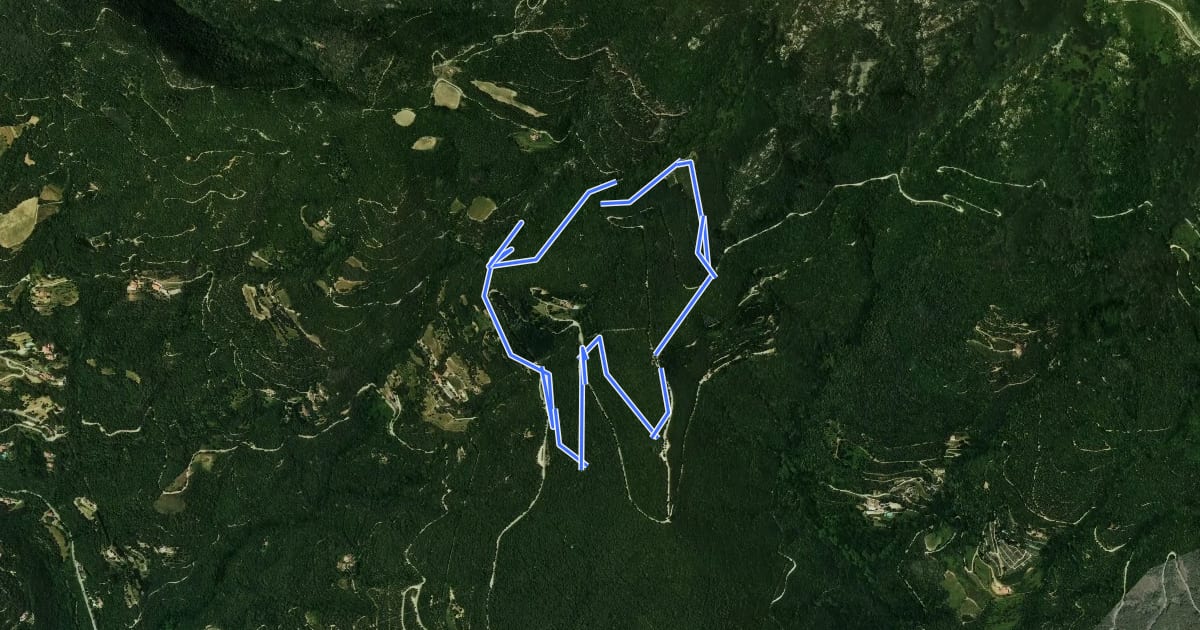 Маршрут Itinerari Forestal de Fontmartina на спутниковом снимке