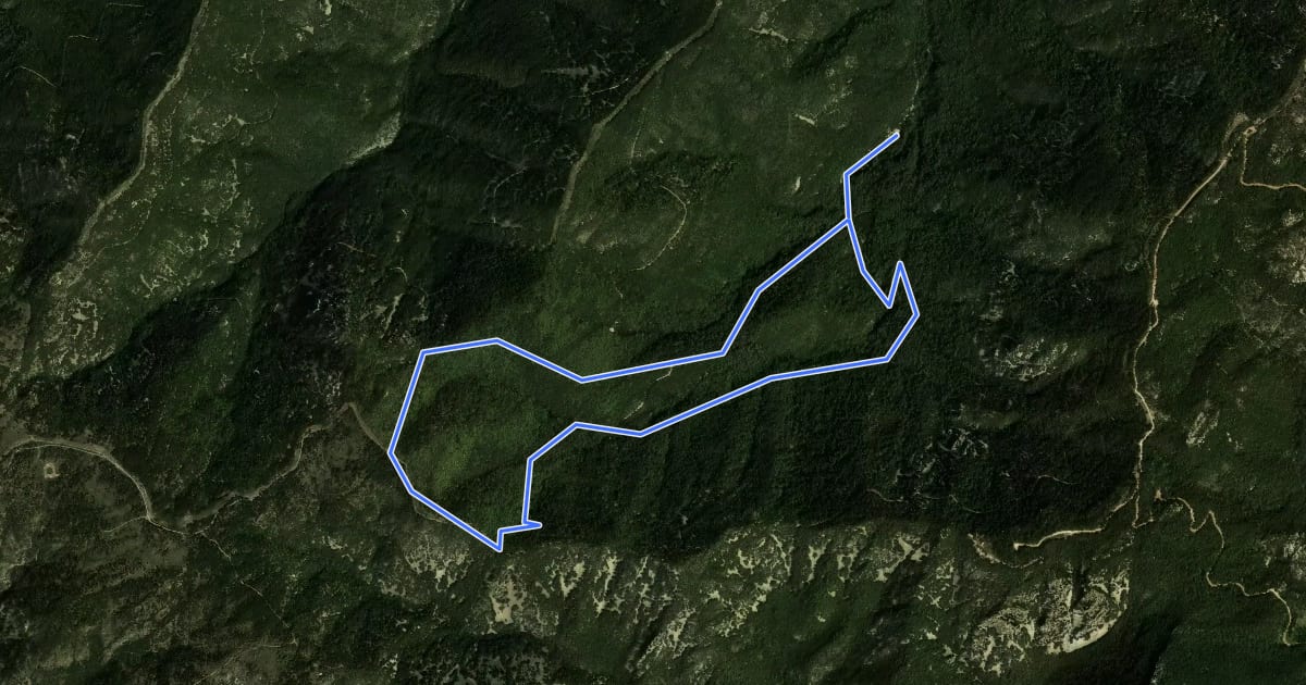 Маршрут Itinerari micològic de Castellfolit на спутниковом снимке
