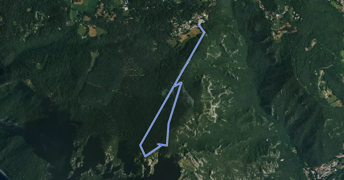 Маршрут Itinerario 1 Parco Valentino на спутниковом снимке
