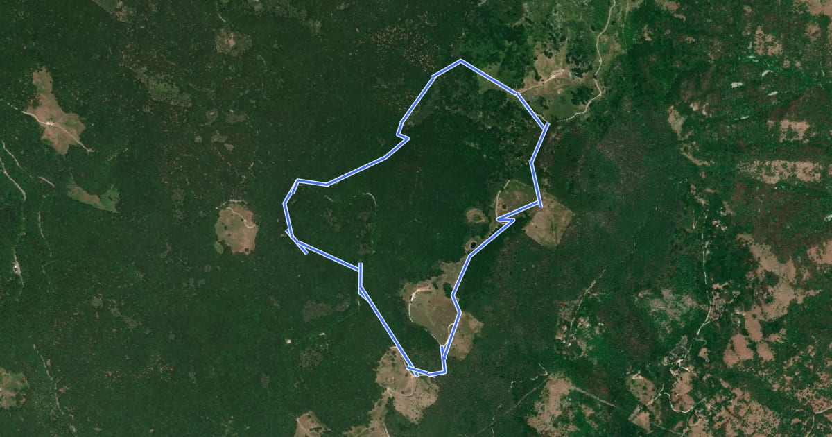 Маршрут Itinerario 2 - Attorno al Col Major на спутниковом снимке
