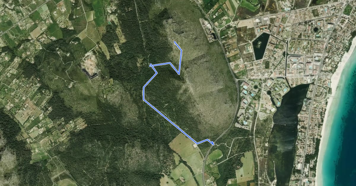 Маршрут Itineraris ornitològics 5 - Puig de Sant Martí на спутниковом снимке