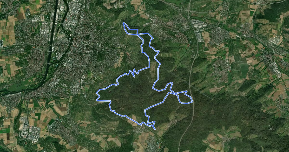 Маршрут IVB MTB Tour 1 Stadtwaldrunde на спутниковом снимке