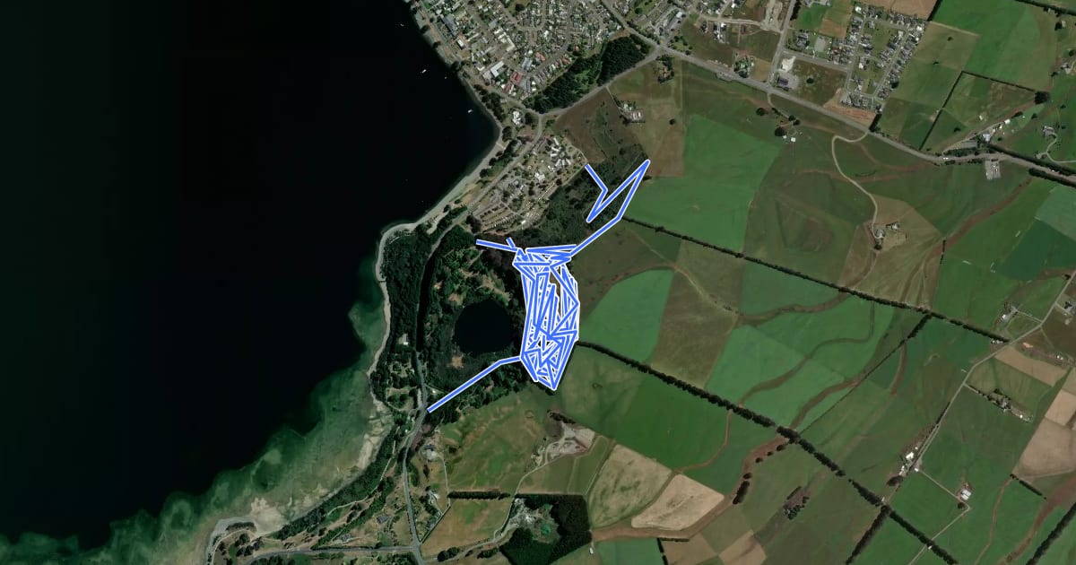Маршрут Ivon Wilson Park MTB (Te Anau) на спутниковом снимке
