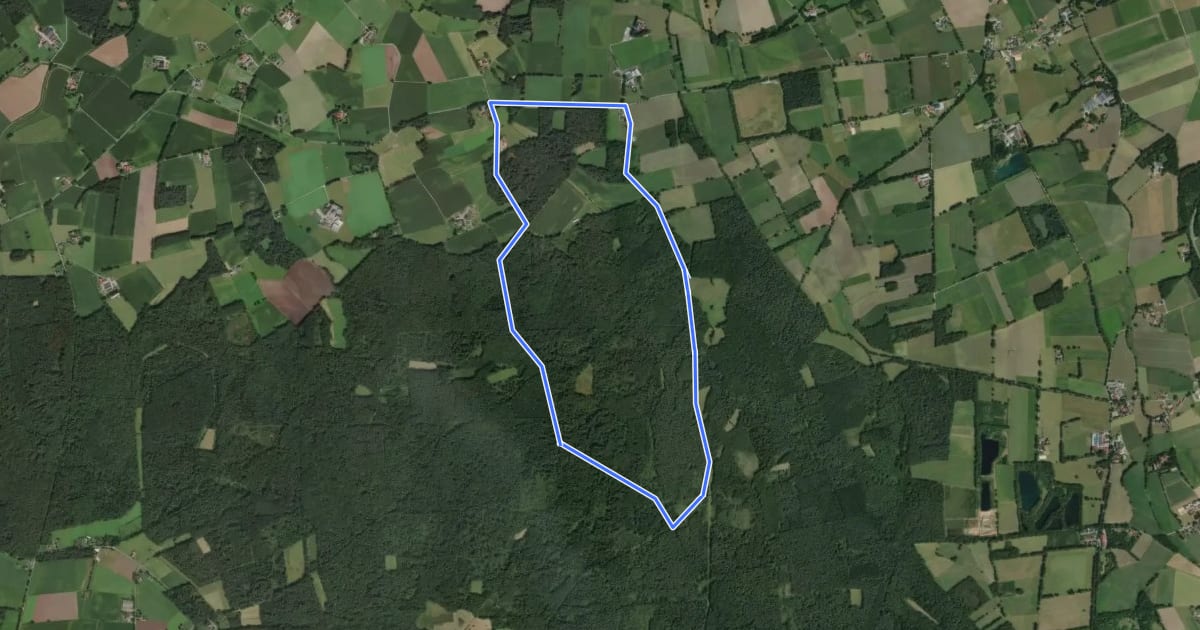 Маршрут Jägerheide Rundweg A3 на спутниковом снимке