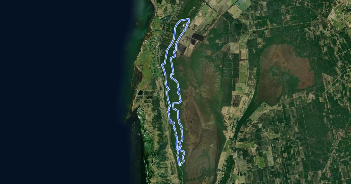 Маршрут Jõulumäe matkarada 25 km на спутниковом снимке