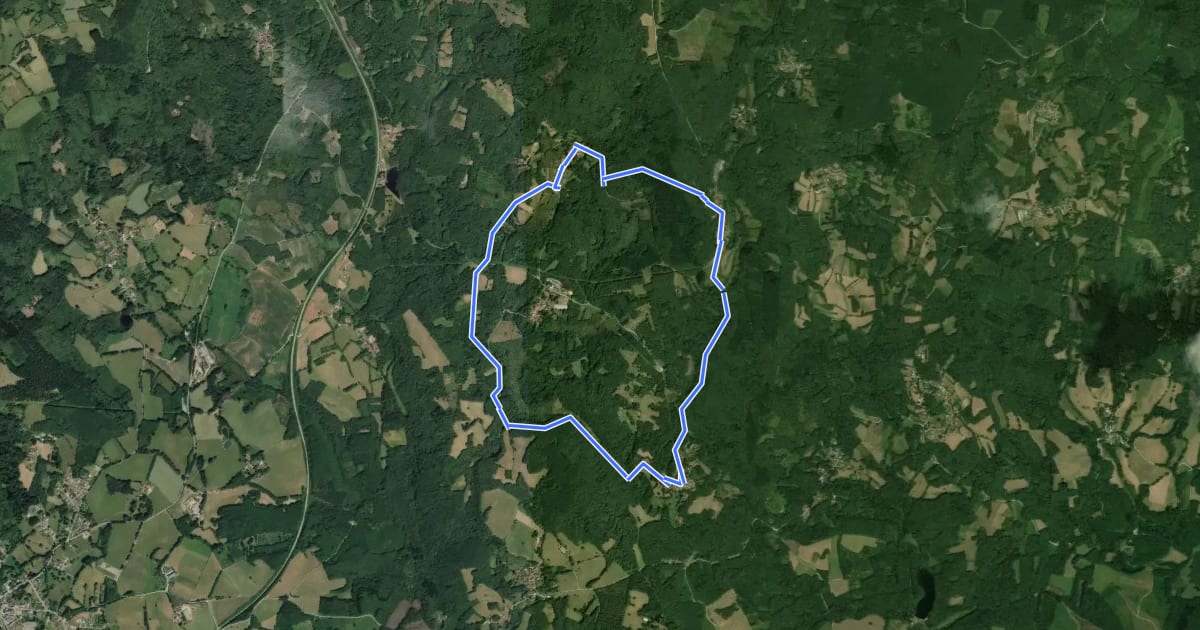 Маршрут Jabreilles/Maucloup/Grand-Vaux на спутниковом снимке