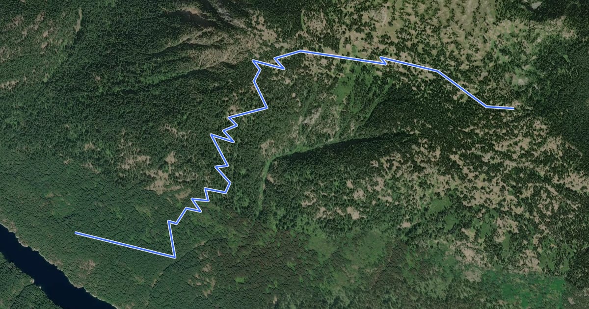 Маршрут Jack Mountain Trail на спутниковом снимке