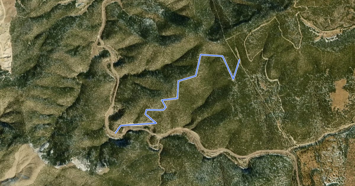 Маршрут Jackalope Trail на спутниковом снимке