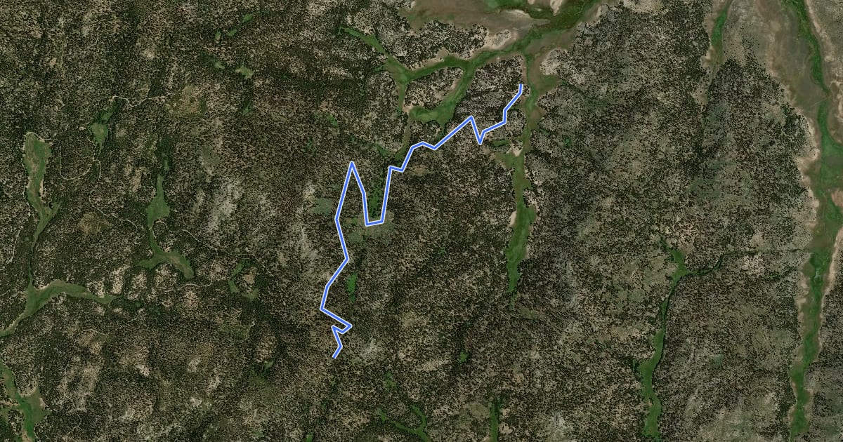 Маршрут Jackass Peak Trail на спутниковом снимке