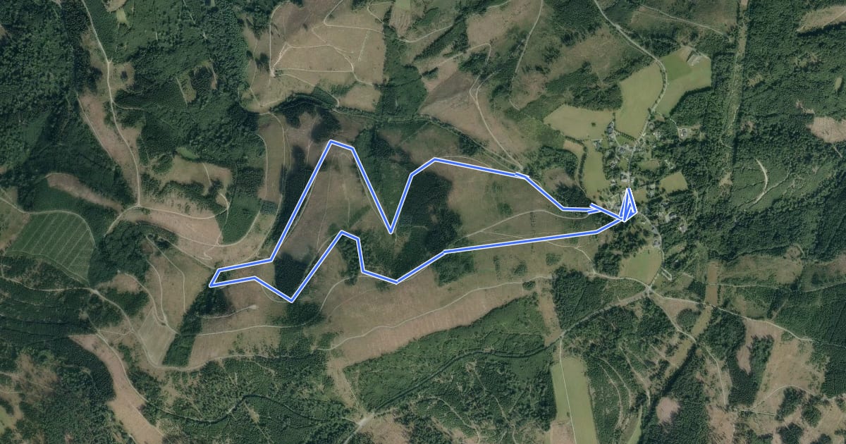 Маршрут Jagdhaus Rundweg J1 Twerssiepenweg на спутниковом снимке