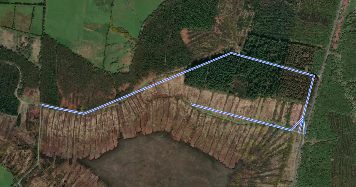 Маршрут Jamestown Bog Path на спутниковом снимке