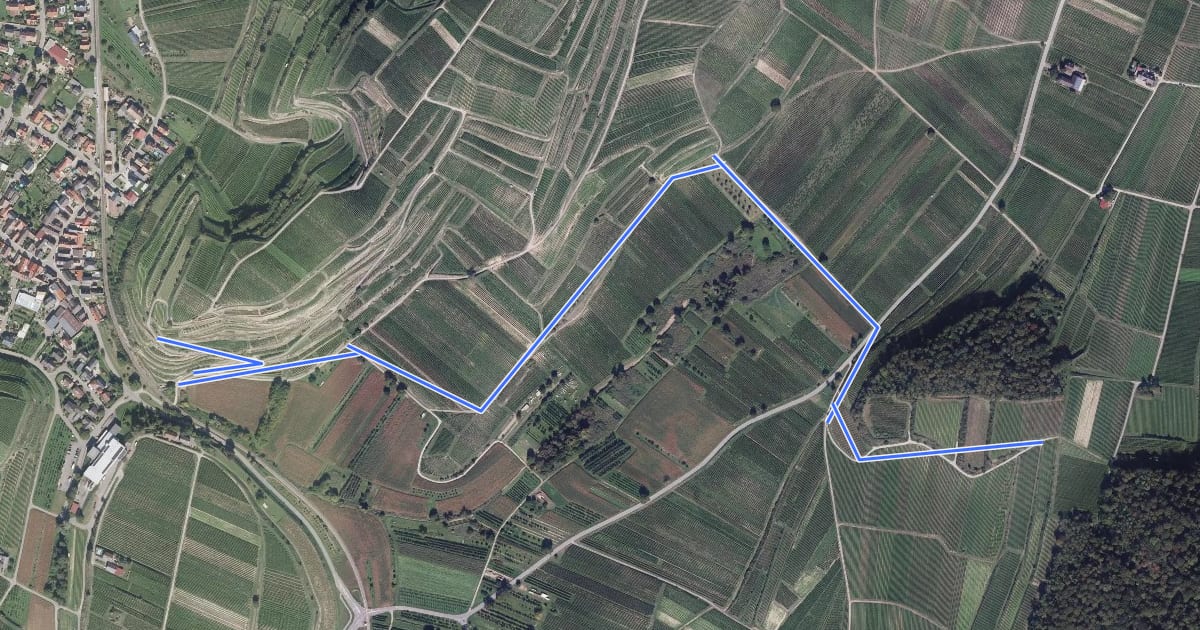 Маршрут Jechtinger Ried - Herrenberg на спутниковом снимке