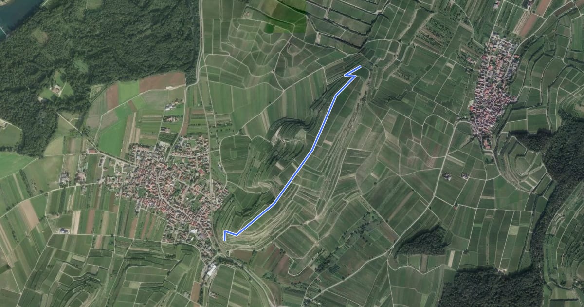 Маршрут Jechtinger Ried - Hochberg на спутниковом снимке