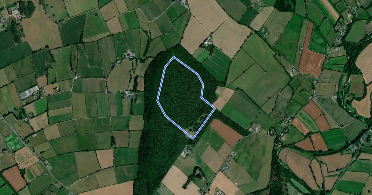 Маршрут Jenkinstown Loop на спутниковом снимке
