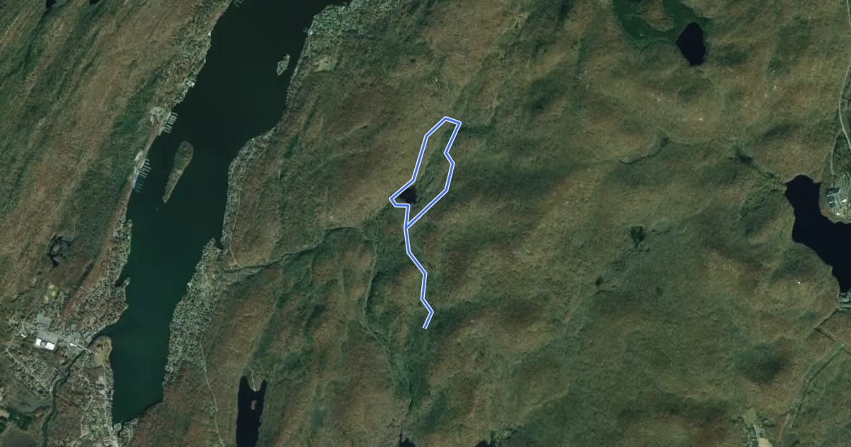 Маршрут Jennings Hollow Trail на спутниковом снимке