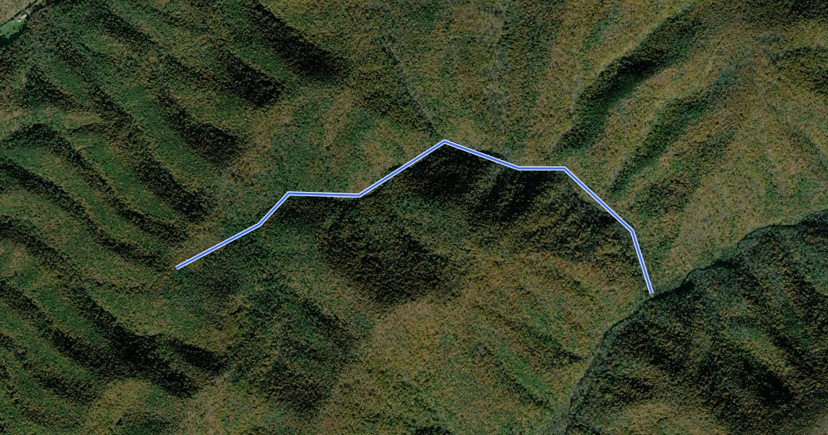 Маршрут Jerrys Run Trail на спутниковом снимке