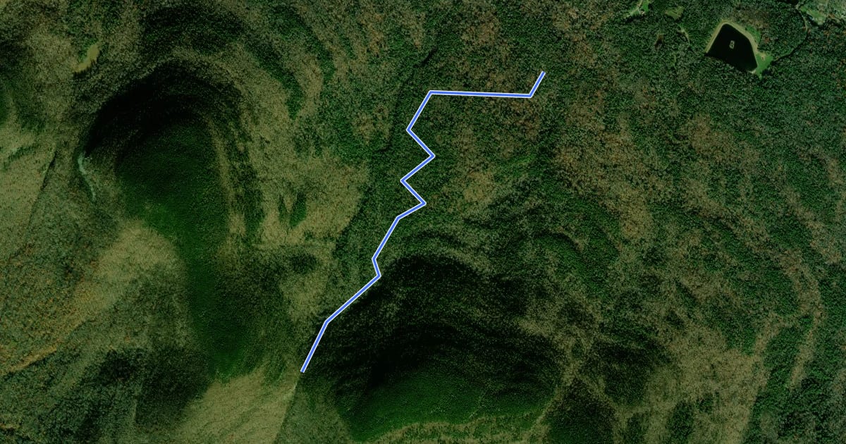 Маршрут Jimmy Dolan Notch Trail на спутниковом снимке
