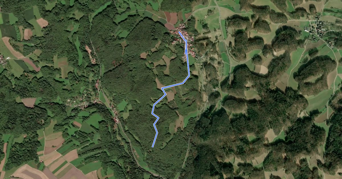 Маршрут Johann-Conrad-Grübel-Weg на спутниковом снимке