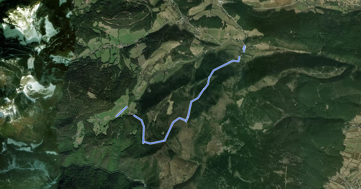 Маршрут Johannesbachklamm - Ruine Schrattenstein - Gutenmann на спутниковом снимке