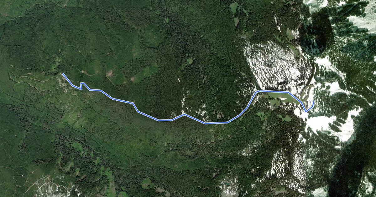 Маршрут Johnson Ridge Trail на спутниковом снимке
