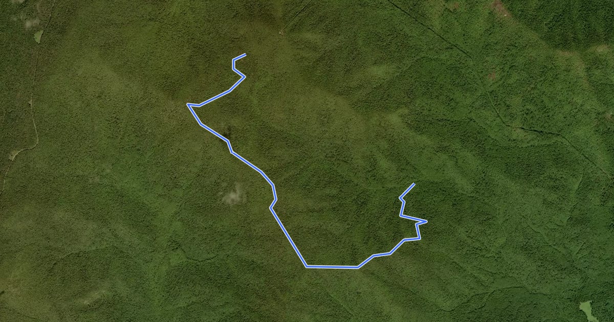 Маршрут Jones Mountain Trail на спутниковом снимке