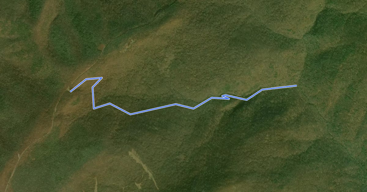 Маршрут Jones Run Trail на спутниковом снимке