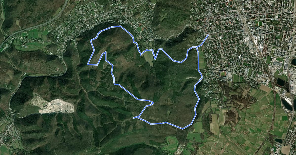 Маршрут Josef Schöffel Wanderweg 46: Mödling - Meiereiwiese - Matterhörndl на спутниковом снимке