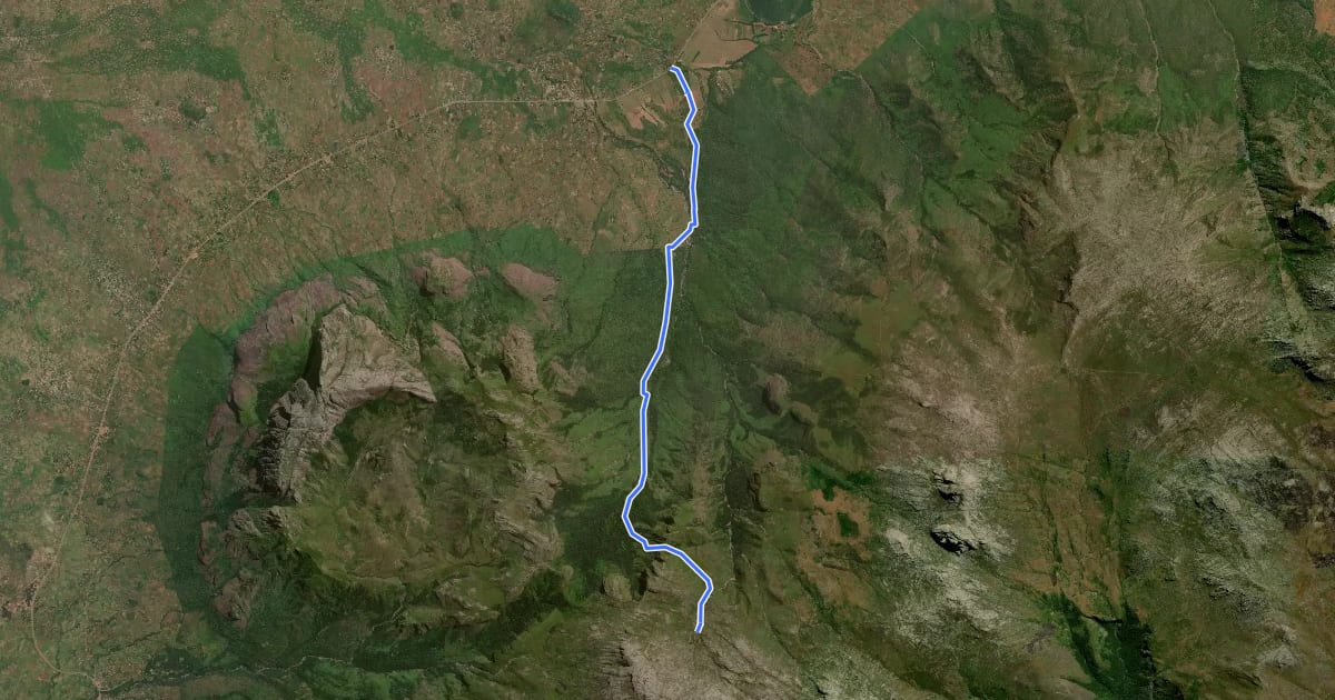 Маршрут Jungle Route на спутниковом снимке
