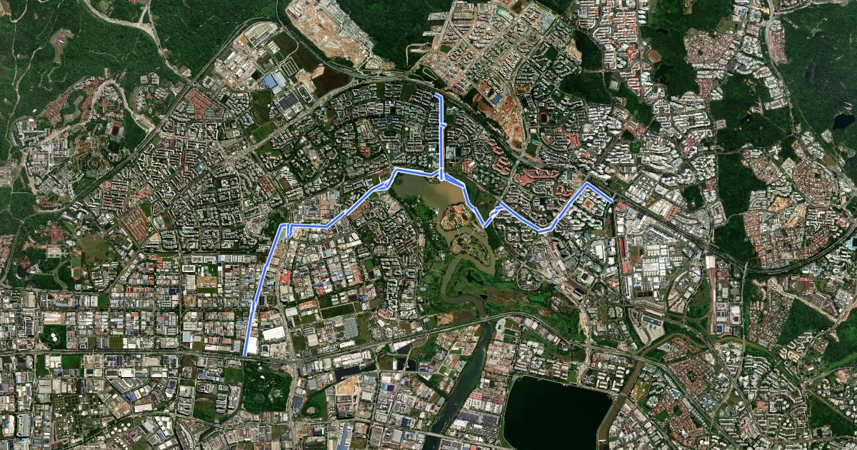 Маршрут Jurong Park Connector на спутниковом снимке