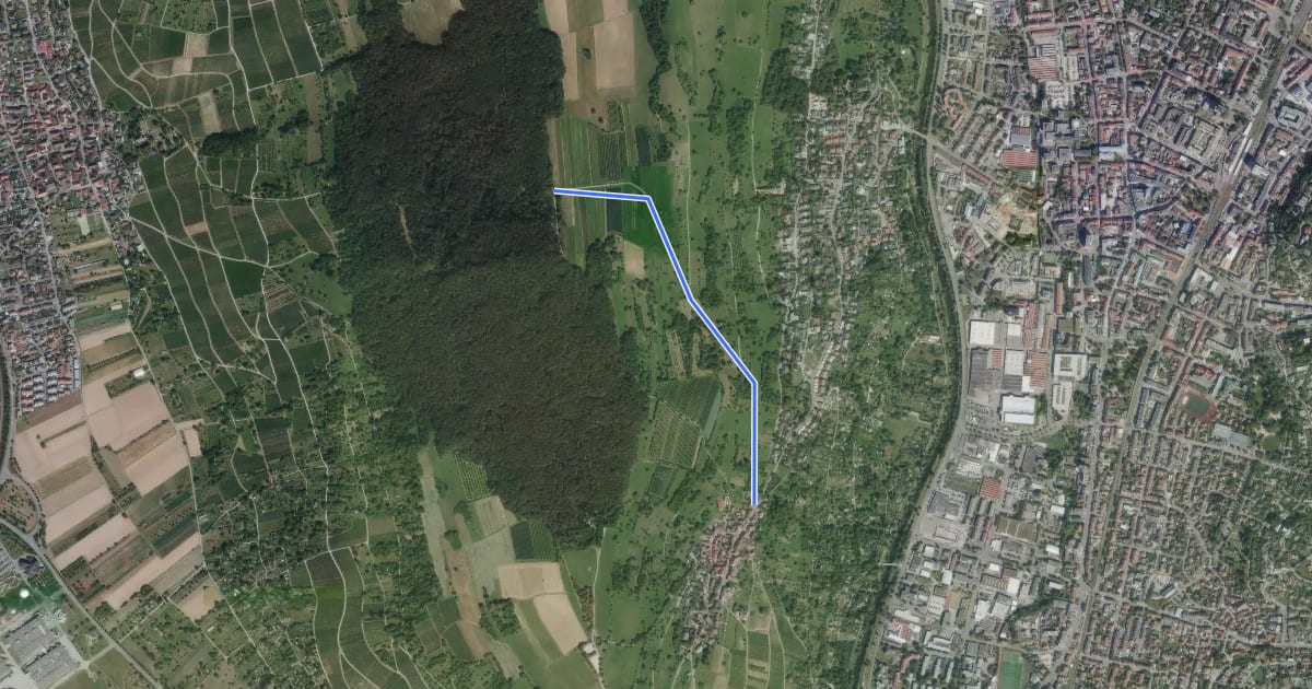 Маршрут Käferholz - Tüllingen Hornbrunnenweg на спутниковом снимке
